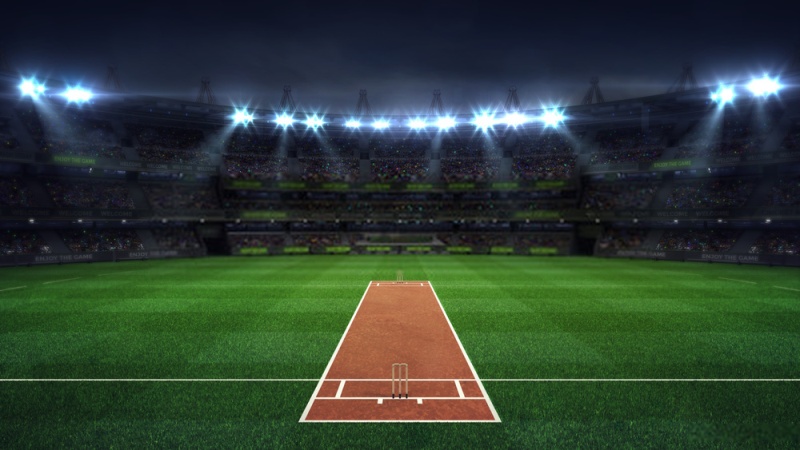 cricket-2.jpg