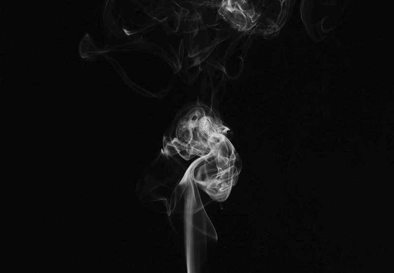 damon-lam-7kEjmlDSGSU-unsplash.jpg