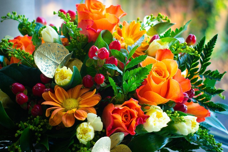 Best Birthday Gifts to Cherish your Siblings