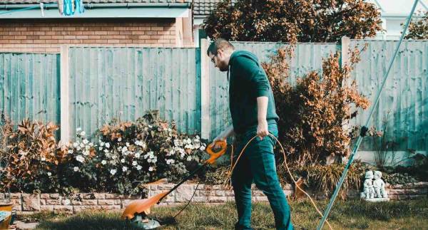 How a Tree Service Helps With Yardwork
